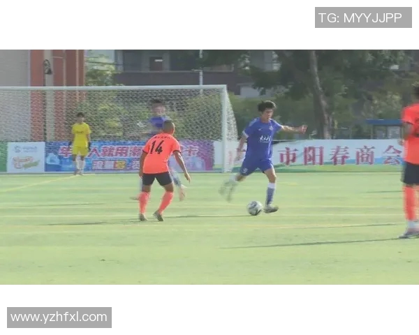 阳西足球明星名单最新动态及球员表现分析与发展前景探讨