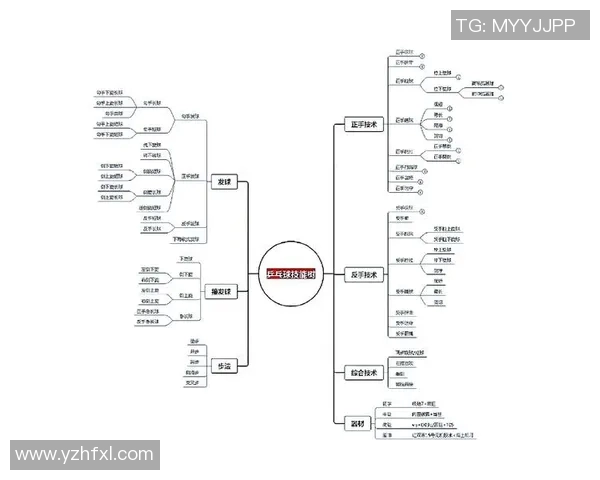 乒乓球技艺探秘：深入分析北京乒乓球队的进攻战术与策略